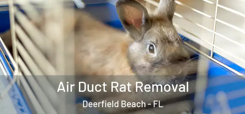 Air Duct Rat Removal Deerfield Beach - FL