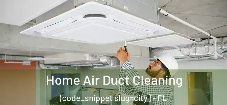  Home Air Duct Cleaning (code_snippet slug=city] - FL