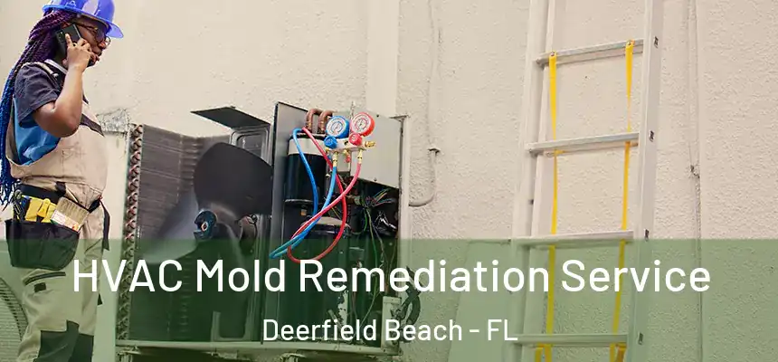 HVAC Mold Remediation Service Deerfield Beach - FL
