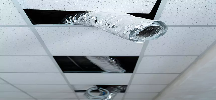 Affordable HVAC Sanitizing After Pest Removal in Deerfield Beach