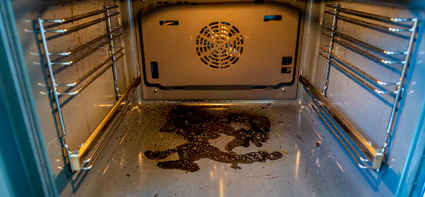 Our Dryer Vent Mold Cleaning Services in Deerfield Beach, FL