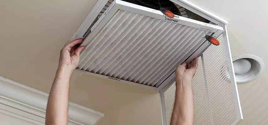 Our Insect Removal from Air Ducts Services in Deerfield Beach, FL