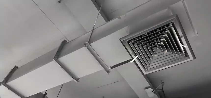 Our Rodent Droppings In Vents Services in Deerfield Beach, FL