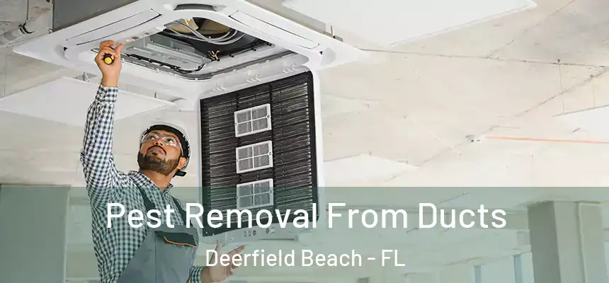 Pest Removal From Ducts Deerfield Beach - FL