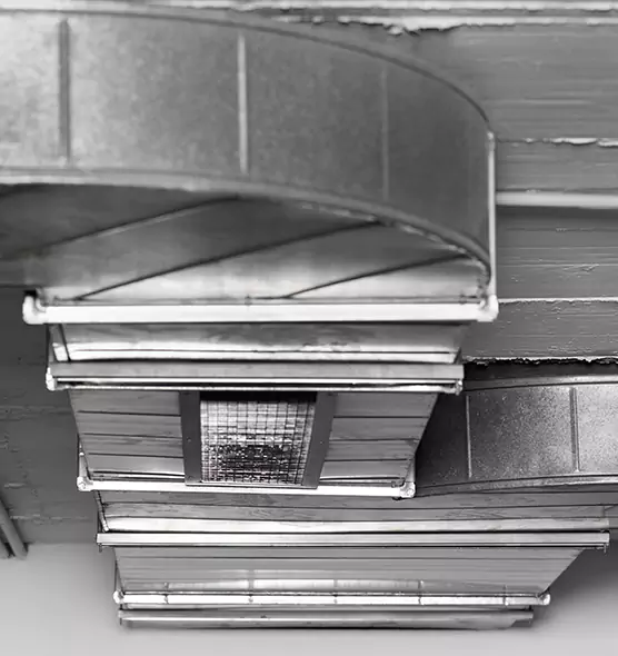 Professional Air Duct Pest Removal in Deerfield Beach, FL