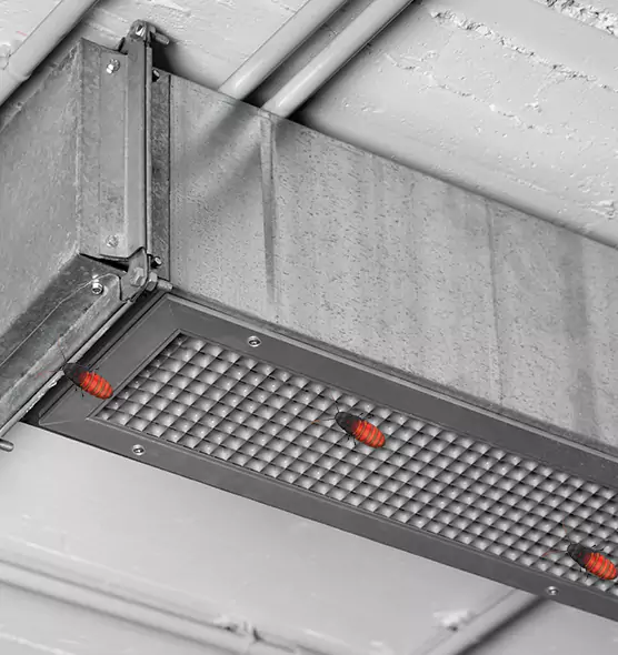 Affordable Insect Removal from Air Ducts in Deerfield Beach, FL