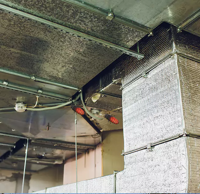 Why Homeowners & Businesses Trust Us in Deerfield Beach, FL?