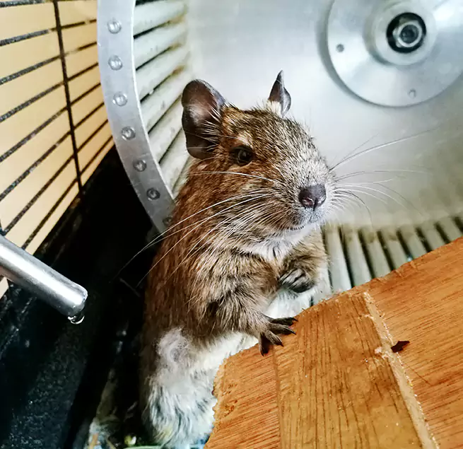 Why Homeowners & Businesses Trust Us Deerfield Beach, FL?