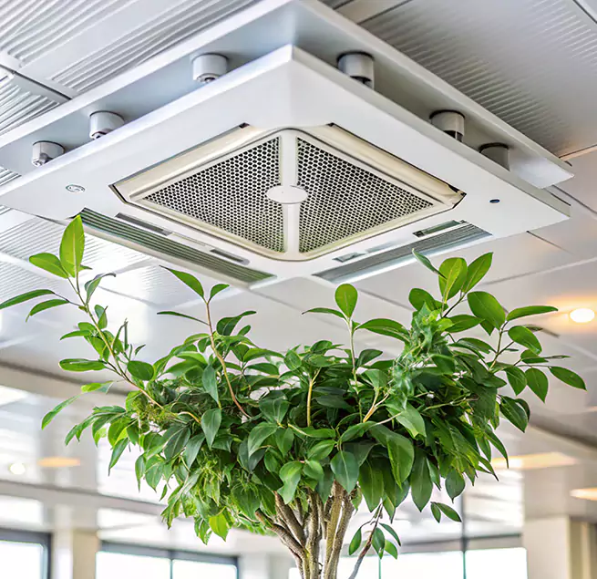 Why Homeowners & Businesses Trust Us in Deerfield Beach, FL?