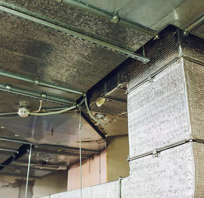 Why Homeowners & Businesses Trust Us in Deerfield Beach, FL?